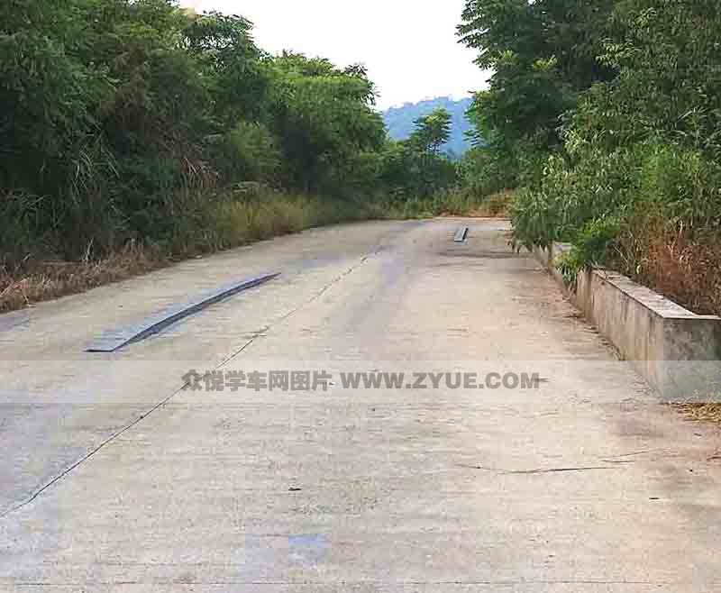 和欣駕校過單邊橋場地