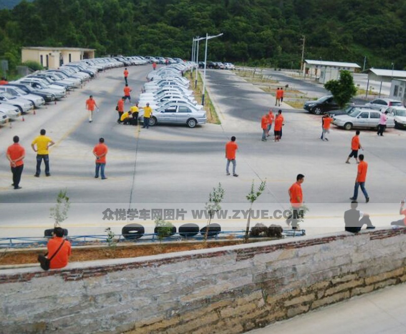 云文駕校訓(xùn)練車型