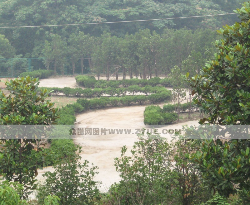 鴻藝駕校場地介紹