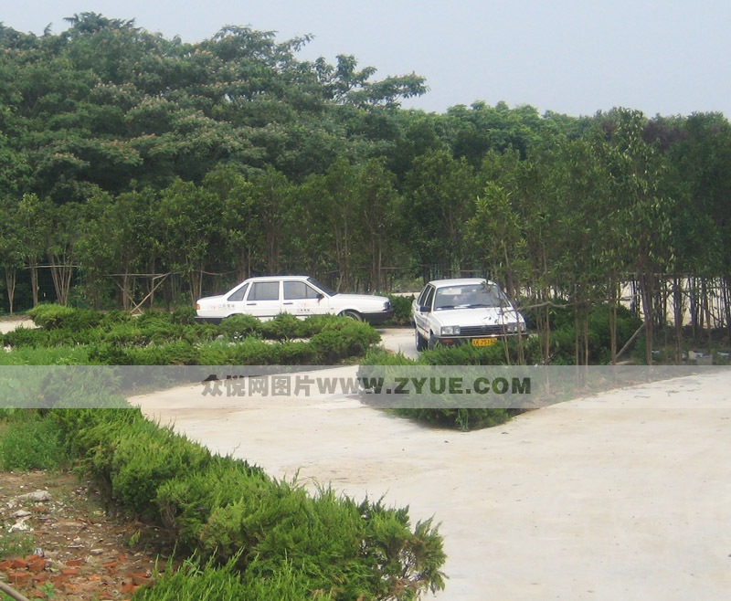 鴻藝駕校S路教學(xué)場地